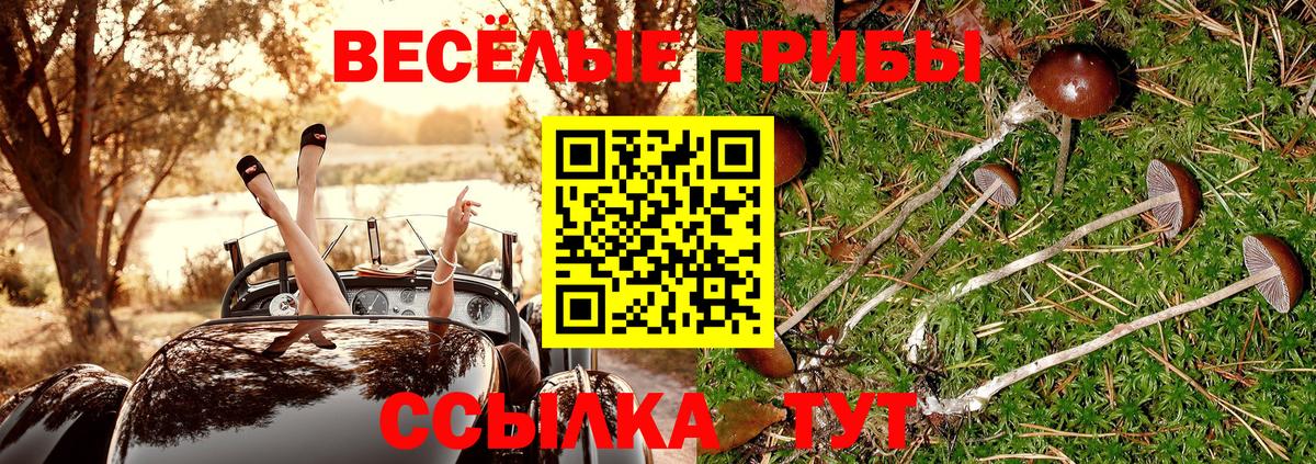 Надым  Псилоцибиновые грибы ЛСД  Вход с VPN 